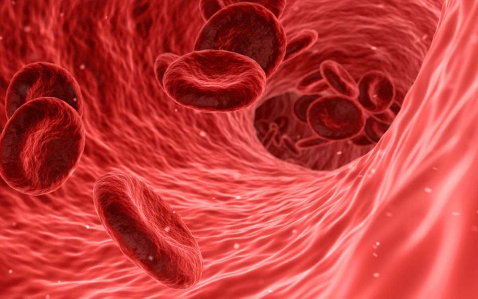 Liquid Biopsy: What is it? Do I Need One? How does it play into the Future of Medicine?