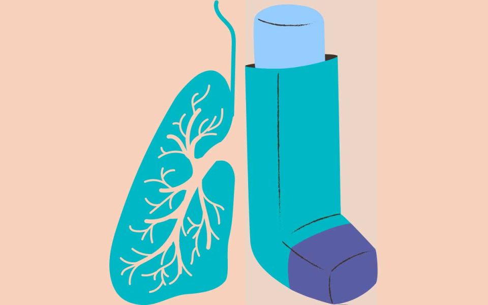 Boring Facts About Asthma