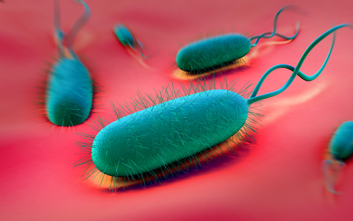 what-are-the-signs-of-h-pylori-medevidence