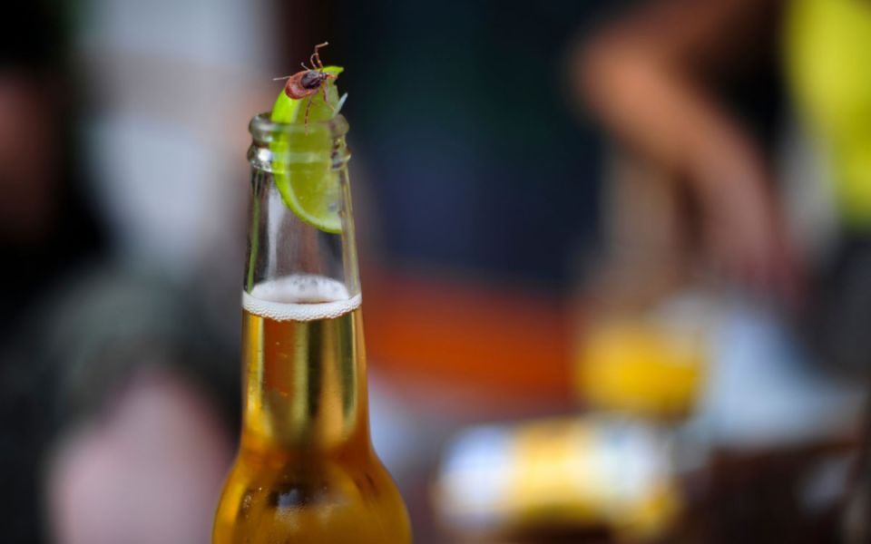 Put Down Your Corona, Let’s Talk About Lyme Disease
