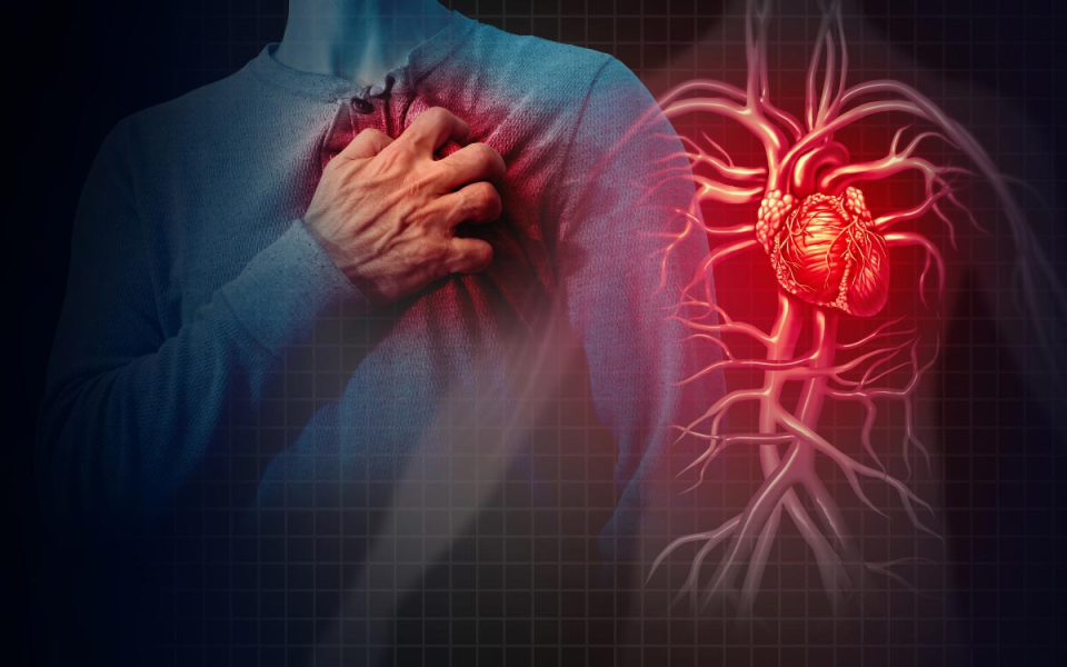What to do after a Heart Attack or Stroke?