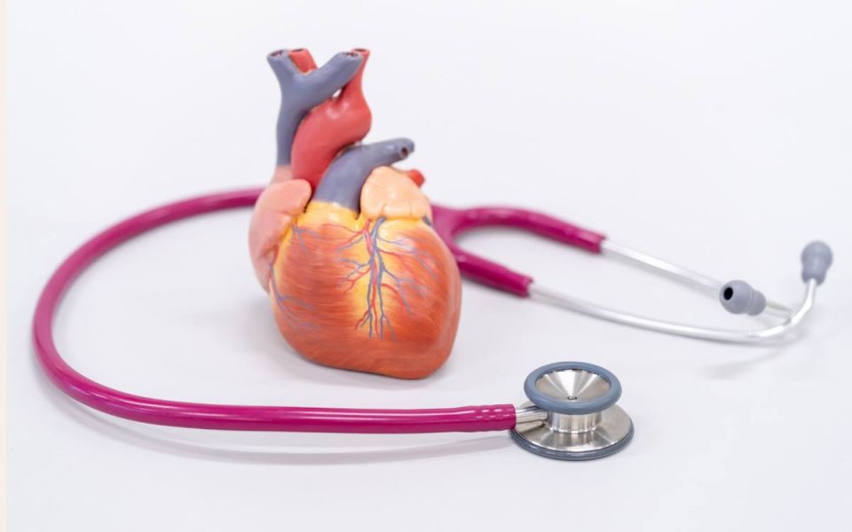 Exploring Cardiac Health: Acute Coronary Syndrome,...