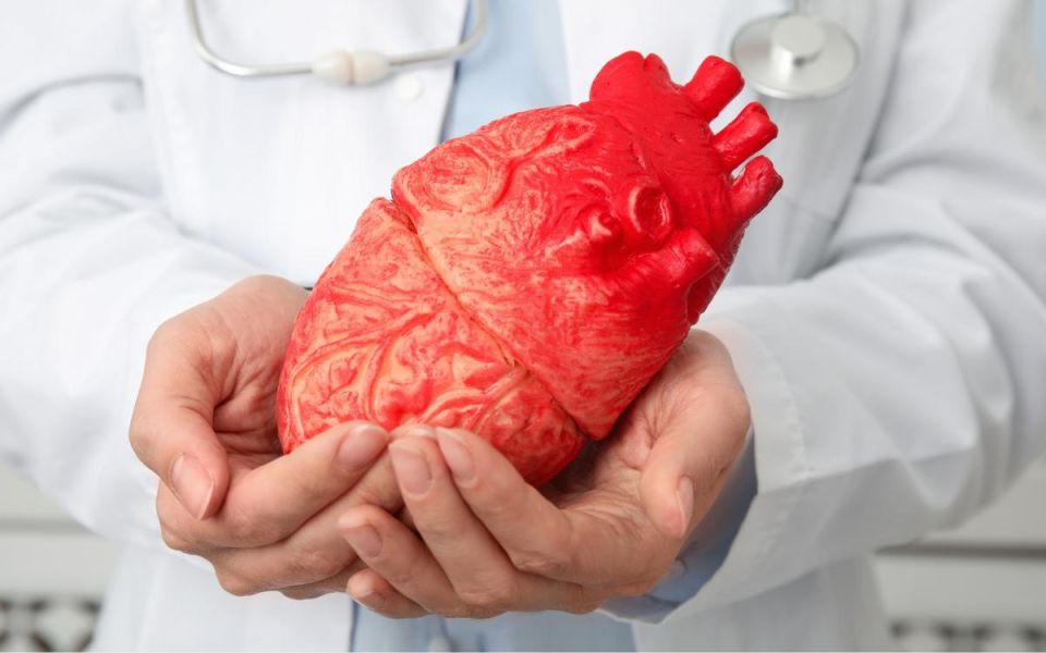 Vascular Viewpoints: Heart Health