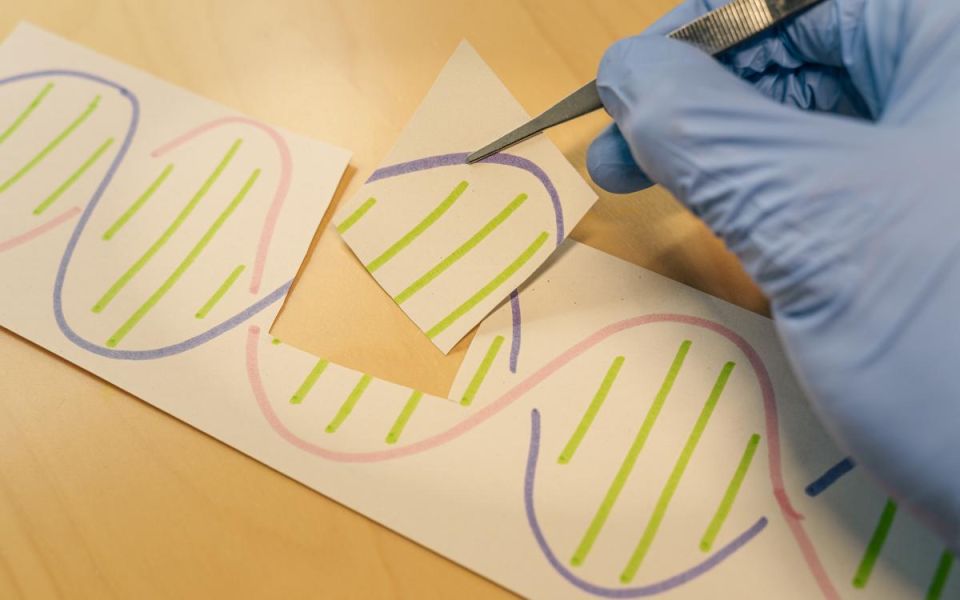 Gene-Editing in Humans, a First for the FDA