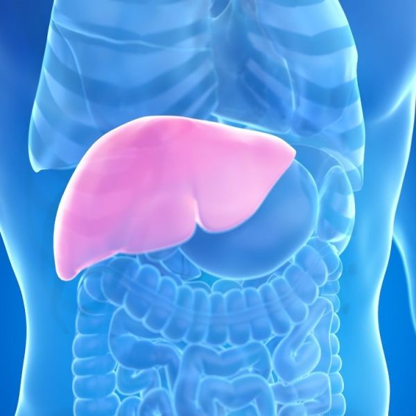 Are You at Risk of Fatty Liver Disease