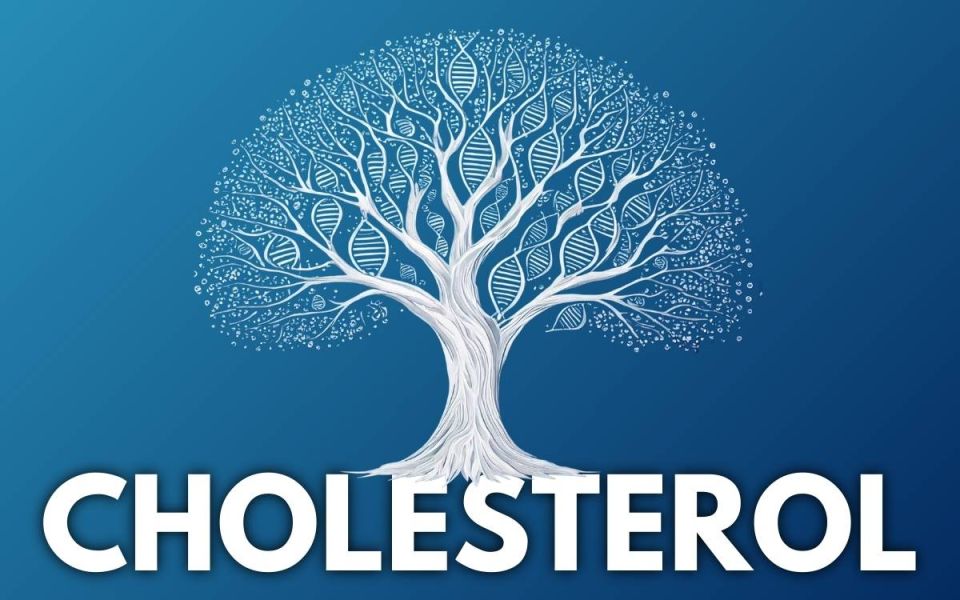 Lipoprotein (a): The Cholesterol You Inherit, Not Eat