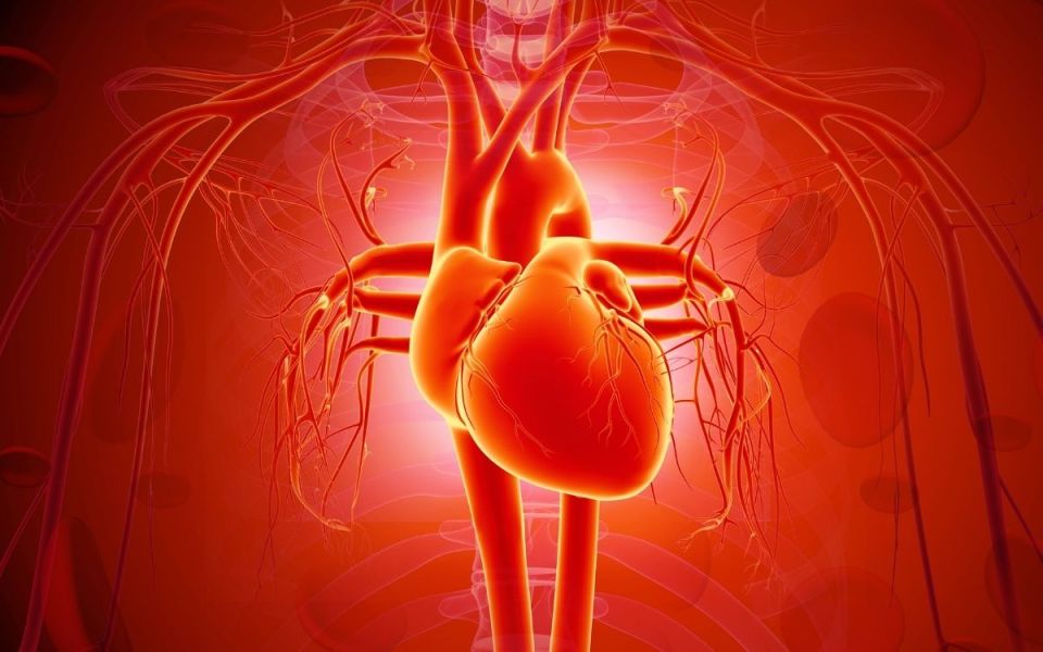 The Cost of Extra Weight on Heart Failure Risk