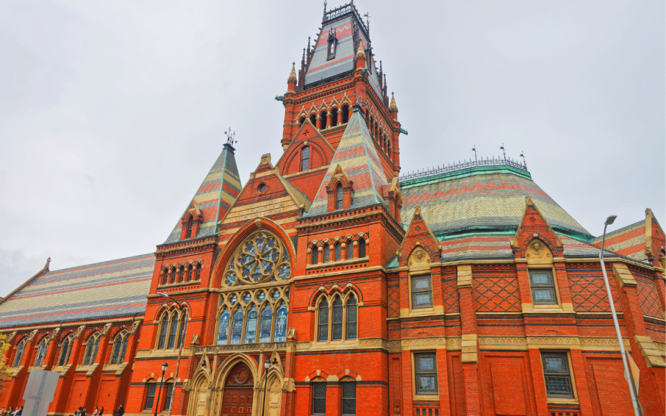 From Reunion to Research: The Harvard Doc's Wake-up Call